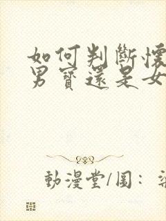 如何判断怀孕是男宝还是女宝