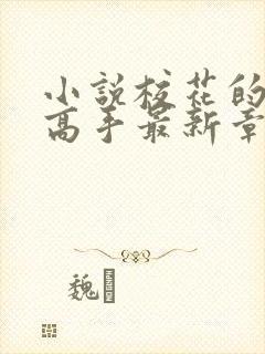 小说校花的贴身高手最新章节阅续