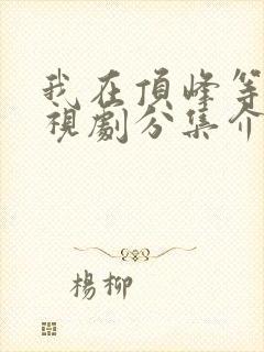 我在顶峰等你电视剧分集介绍封面