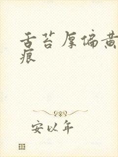 舌苔厚偏黄有齿痕