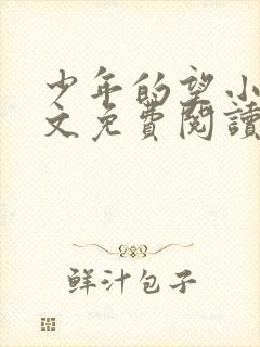 少年的望小说全文免费阅读