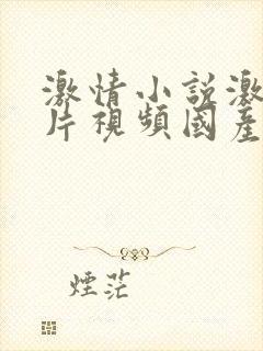 激情小说激情图片视频国产