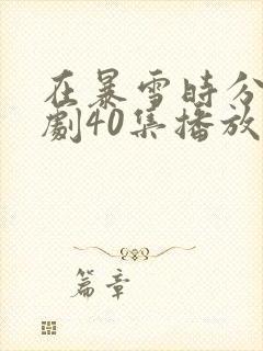 在暴雪时分电视剧40集播放