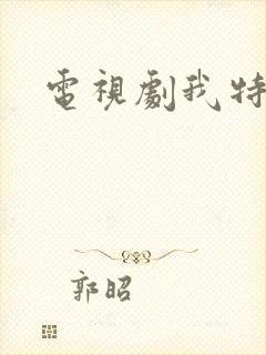 电视剧我特一营