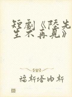 短剧《陆先生余生不再见》