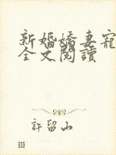 新婚娇妻宠上瘾全文阅读