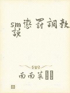 sm惩罚调教小说