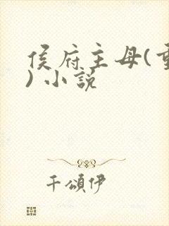 侯府主母(重生) 小说