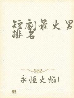 短剧最火男演员排名