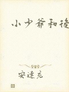 小少爷和后妈们