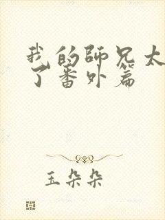 我的师兄太稳健了番外篇