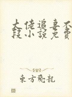 大佬追妻不择手段小说免费阅读完本