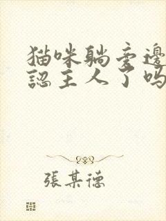 猫咪躺旁边睡是认主人了吗