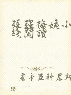 张强梅姨小说在线阅读