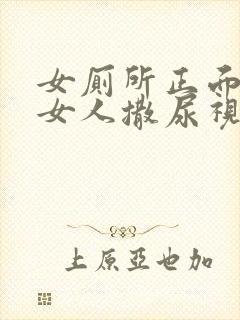 女厕所正面偷拍女人撒尿视频封面