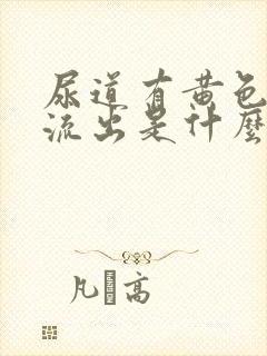 尿道有黄色粘液流出是什么原因