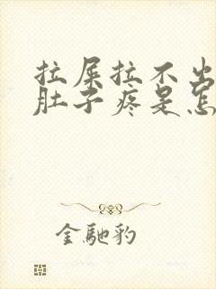 拉屎拉不出来小肚子疼是怎么回事