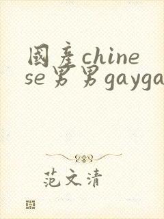 国产chinese男男gaygay免费网站