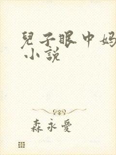 儿子眼中妈妈的 小说封面