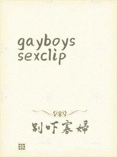 gayboyssexclip