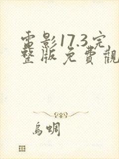 电影17.3完整版免费观看