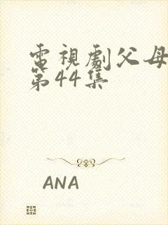 电视剧父母爱情第44集