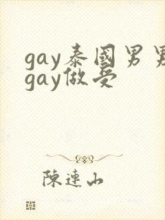 gay泰国男男gay做受