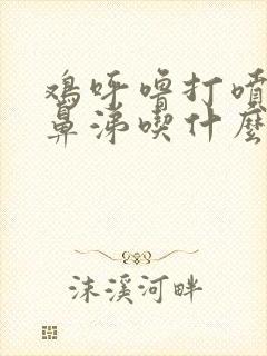 鸡呼噜打喷嚏流鼻涕吃什么药