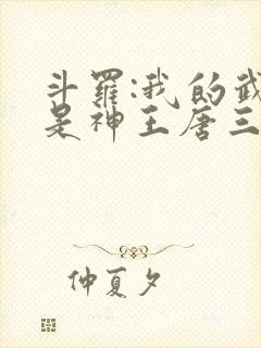 斗罗:我的武魂是神王唐三