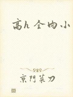 高h 全肉小说封面