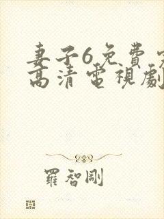 妻子6免费完整高清电视剧在线看中文