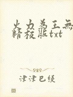 火力为王无错字精校版txt封面