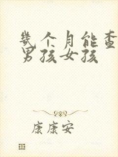 几个月能查出来男孩女孩