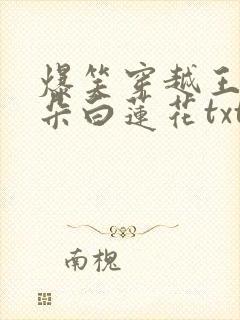 爆笑穿越王妃是朵白莲花txt