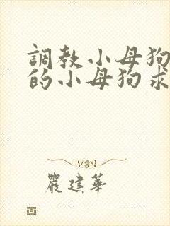 调教小母狗 操的小母狗求饶