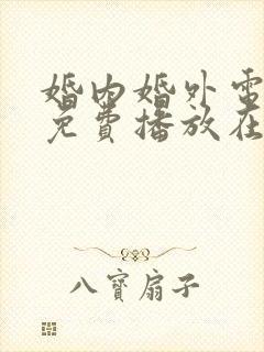 婚内婚外电视剧免费播放在线观看封面