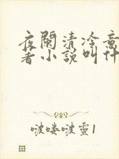 夜阑清冷意欢原著小说叫什么封面