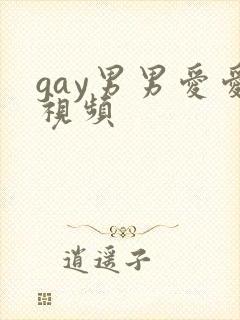 gay男男爱爱视频