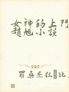 女神的上门豪婿赵旭小说