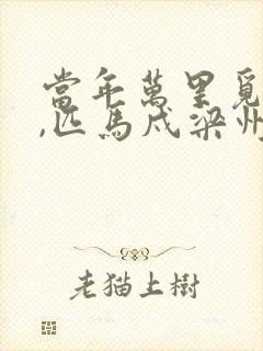 当年万里觅封侯,匹马戍梁州.