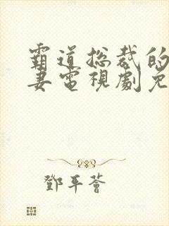 霸道总裁的小娇妻电视剧免费观看