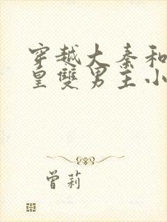 穿越大秦和秦始皇双男主小说