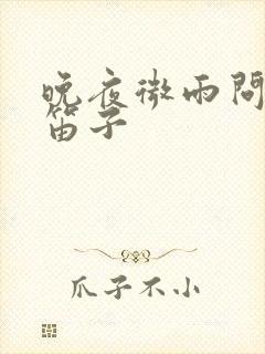 晚夜微雨问海棠笛子