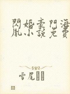 闪婚豪门海彤战胤小说免费读