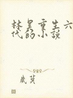 林昊重生六零年代的小说