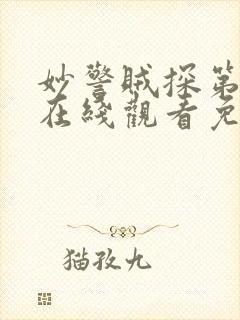 妙警贼探第二季在线观看免费