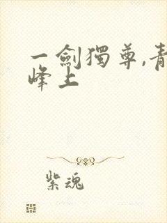 一剑独尊,青鸾峰上