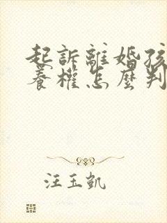 起诉离婚孩子抚养权怎么判