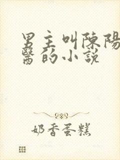 男主叫陈阳是村医的小说