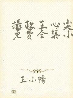 摄政王心尖宠妃免费全集小说